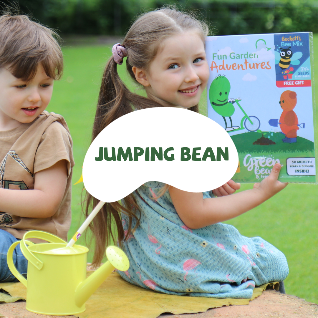 JUMPING BEAN KIDS TOYS 3TO5 YEARS